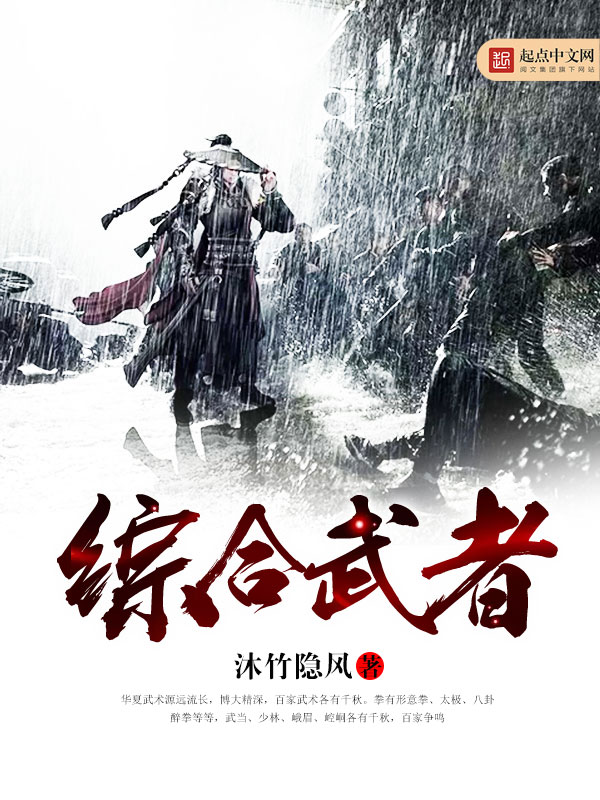 综合武术拳