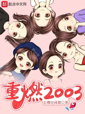 重燃2003txt全集下载